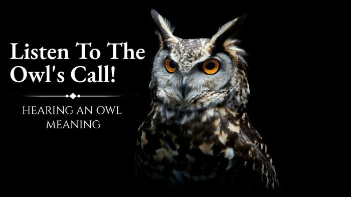 hearing an owl meaning