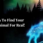 find your spirit animal