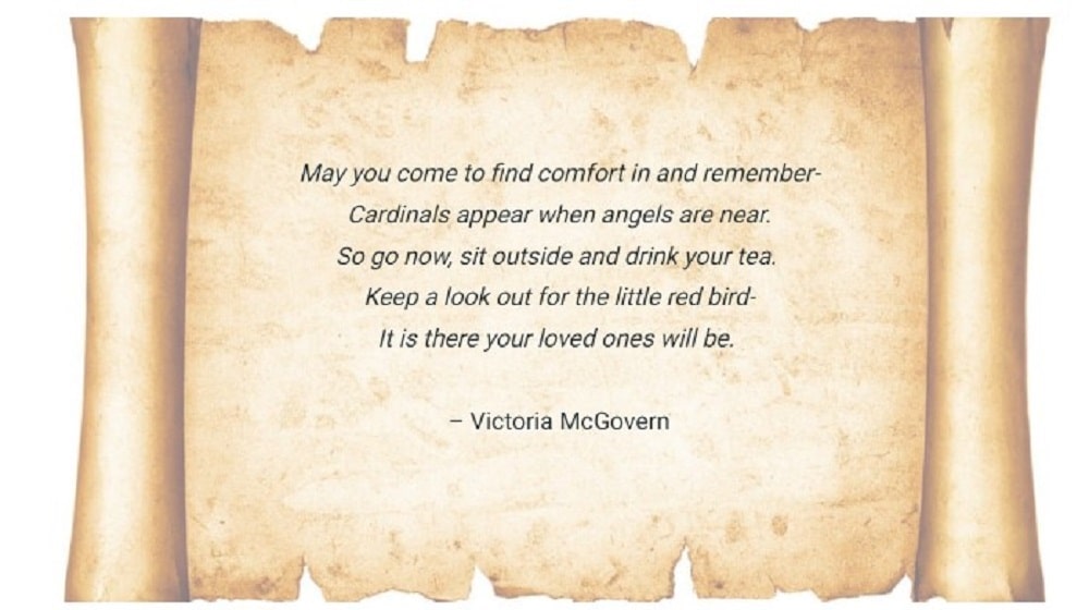 victoria mcgovern cardinal poem