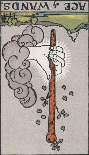 ace of wands reversed tarot card meaning