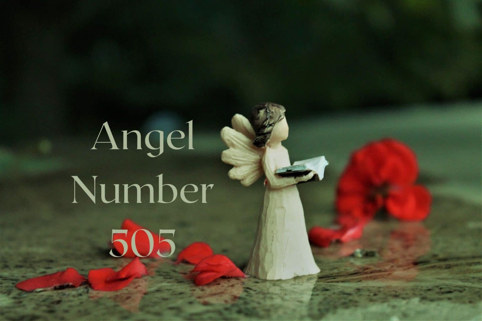 Angel Number 505