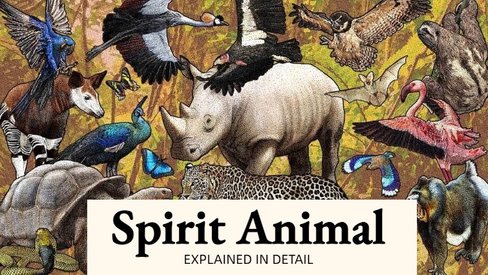 spirit animal